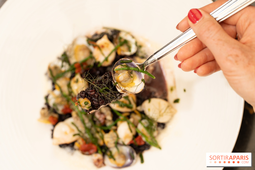 Maison Delano restaurant et terrasse cachée Paris 8e - Coquillages au riz vénéré