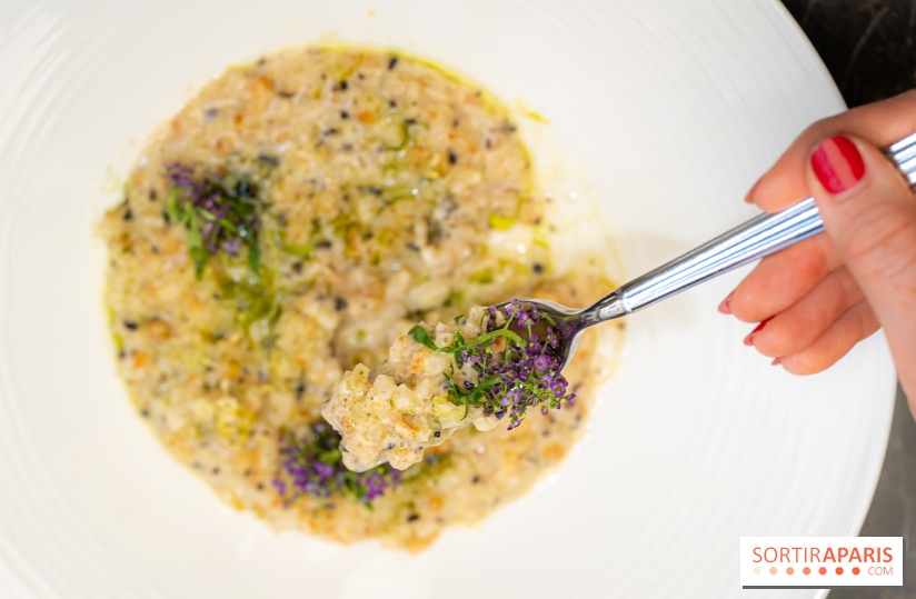 Maison Delano restaurant et terrasse cachée Paris 8e - céleri façon risotto