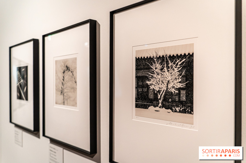 Exposition Haïkus d’argent, l’Asie photographiée par Michael Kenna au MuséeGuimet, les photos
