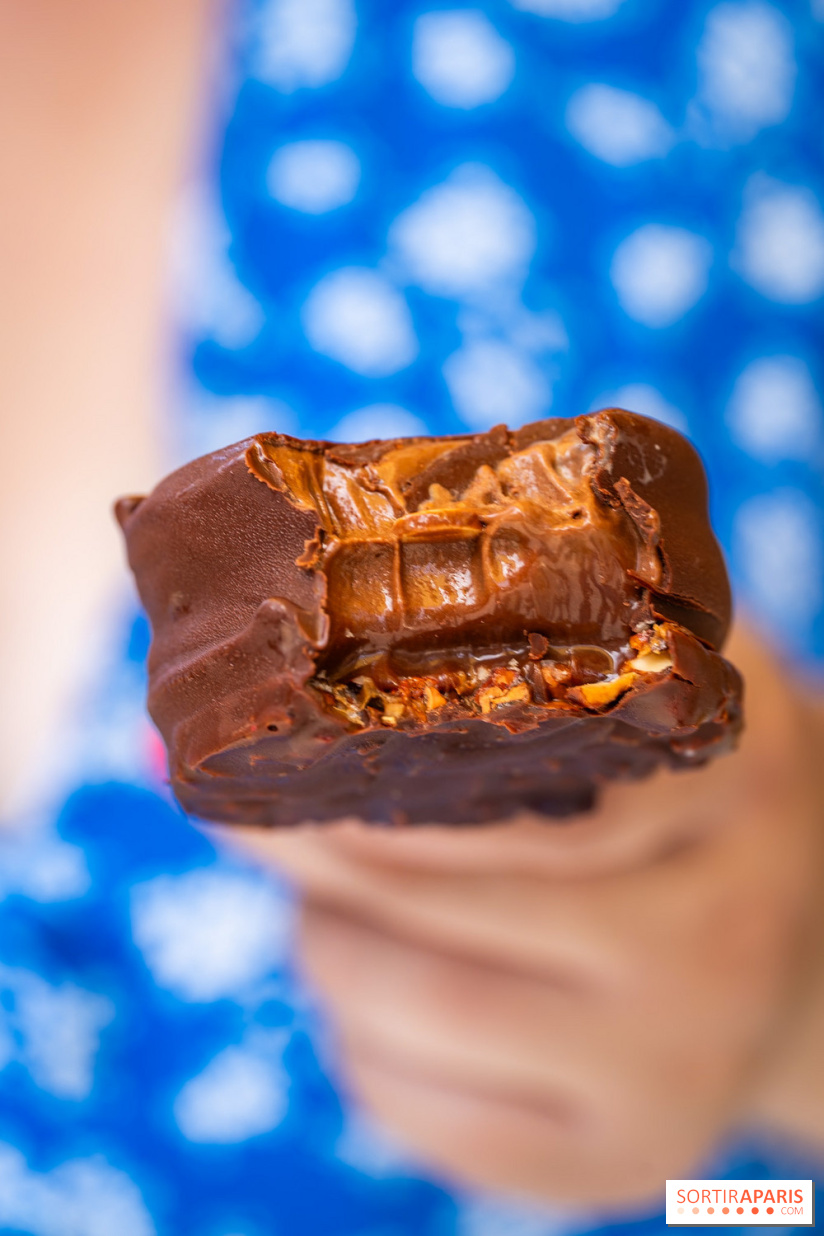 Les bouchées glacées de la Chocolaterie William Artigue, les esquimaux gourmands