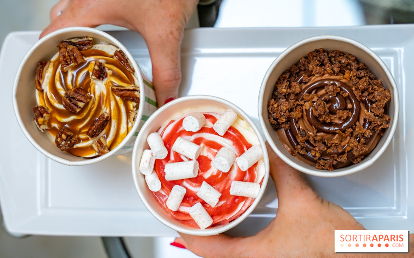 Les glaces gourmandes de l'Épicerie du Bristol - les photos - A7C03302