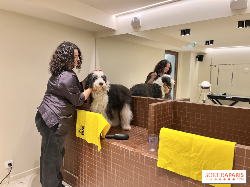 The Dogry - IMG 3595