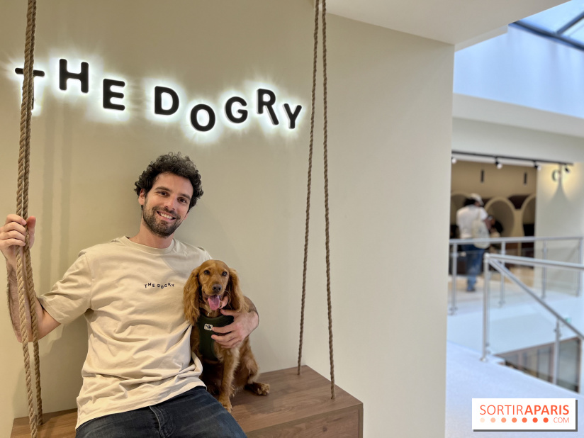 The Dogry