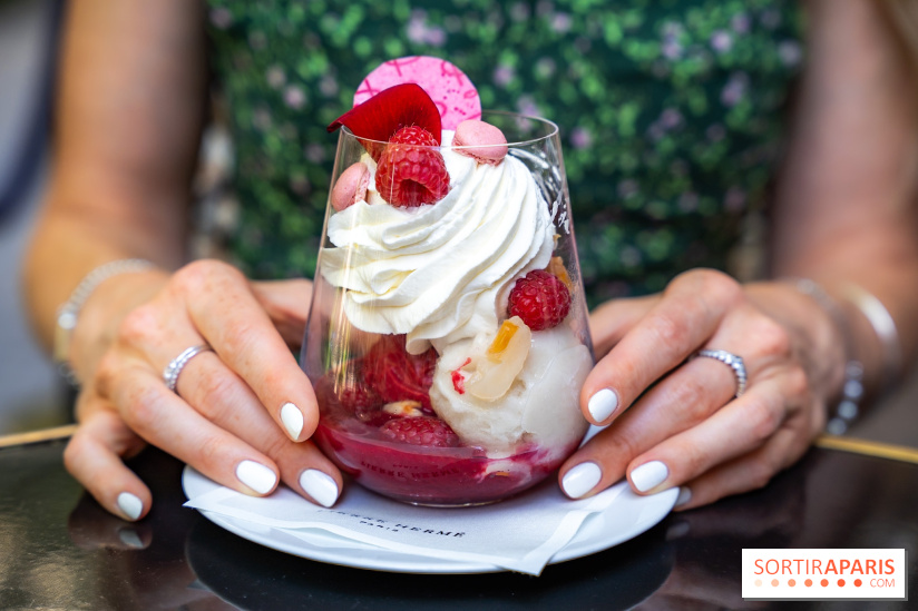 Les glaces et coupes glacées de Pierre Hermé pour l'été  - A7C04944
