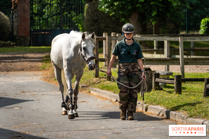 Visite guidée de l'École Mlitaire d'Équitation