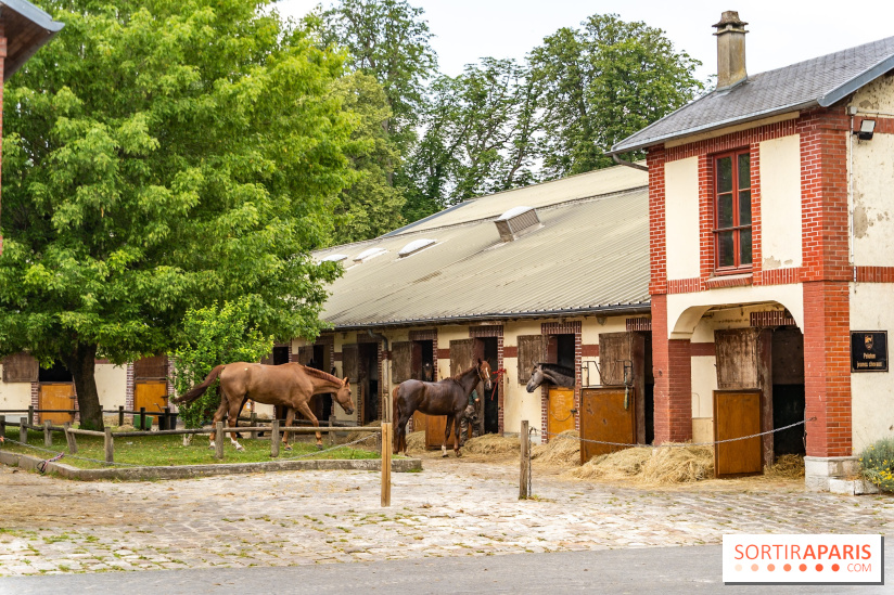 Visite guidée de l'École Mlitaire d'Équitation