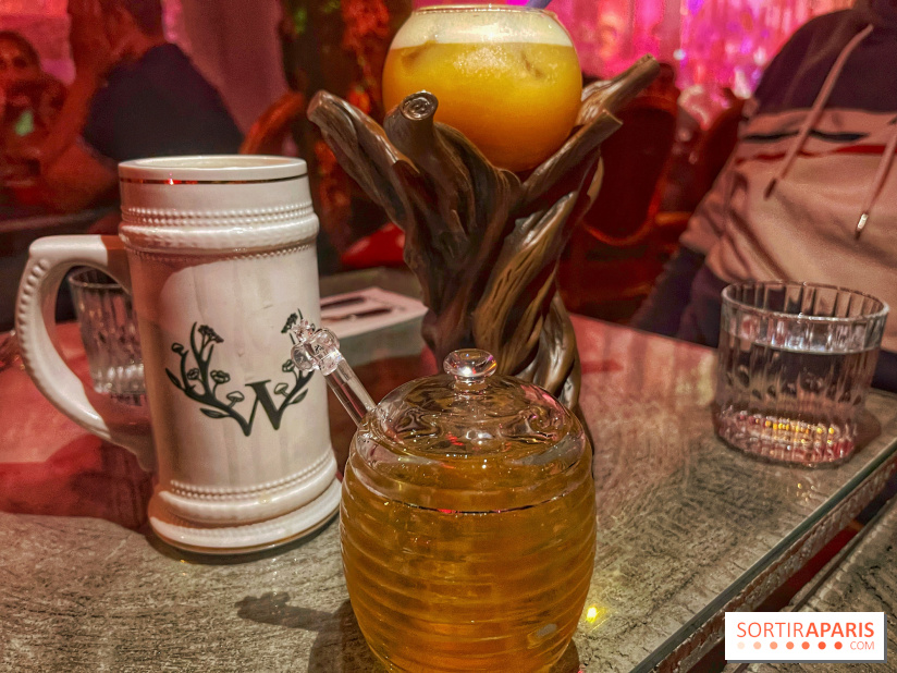 Wonderwoods - IMG 3695