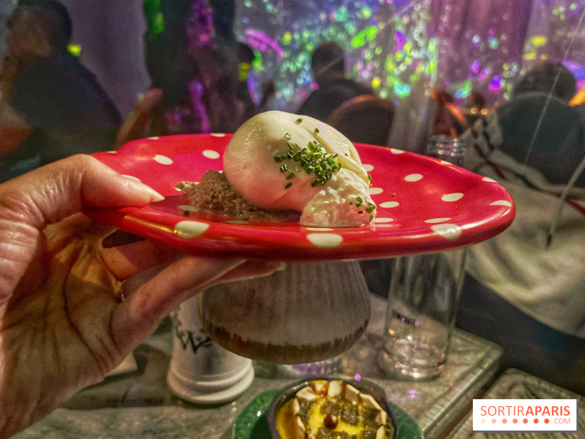 Wonderwoods - IMG 3707