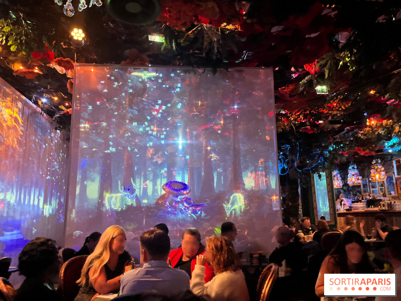 Wonderwoods - IMG 3813