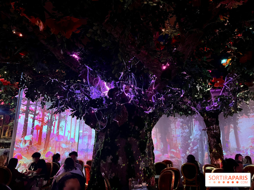 Wonderwoods