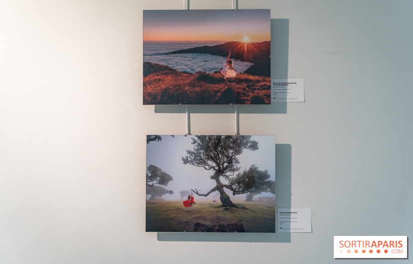 Exposition Dancing the Earth au Couvent de l'Annonciation Paris 8e