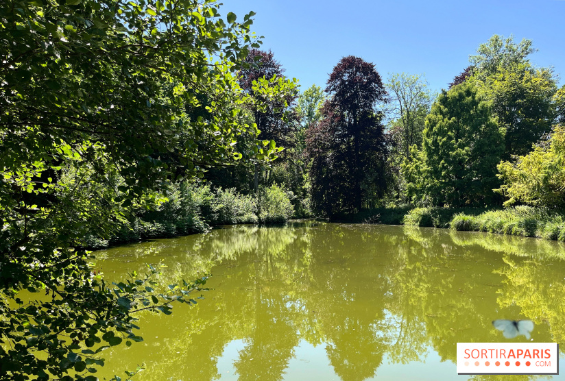 Le parc de l'Aleu - nos photos - A6E6B5D1 B491 418F B45C FE16D8ED7AAC