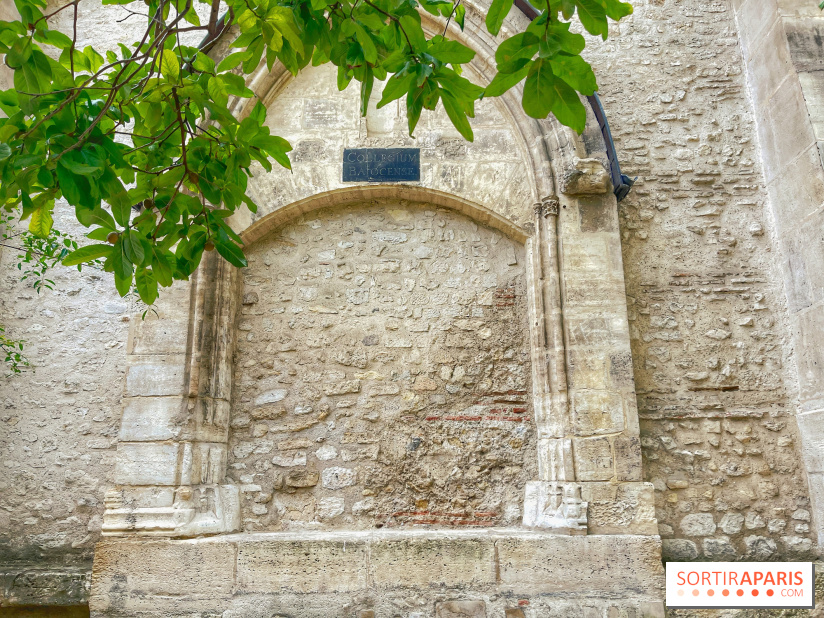 Jardin Médiéval du Musée de Cluny - IMG 3873
