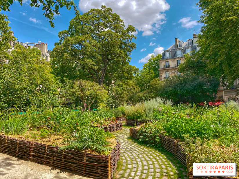 Jardin Médiéval du Musée de Cluny
