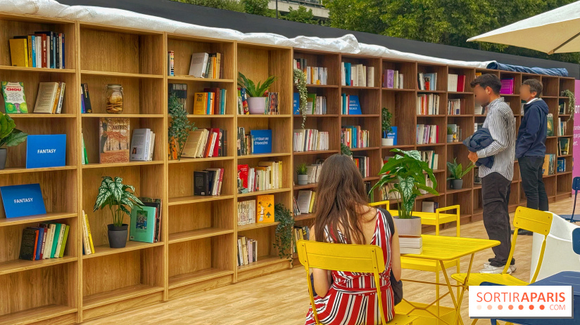 Bibliothèque et boite à livres géante à ciel ouvert