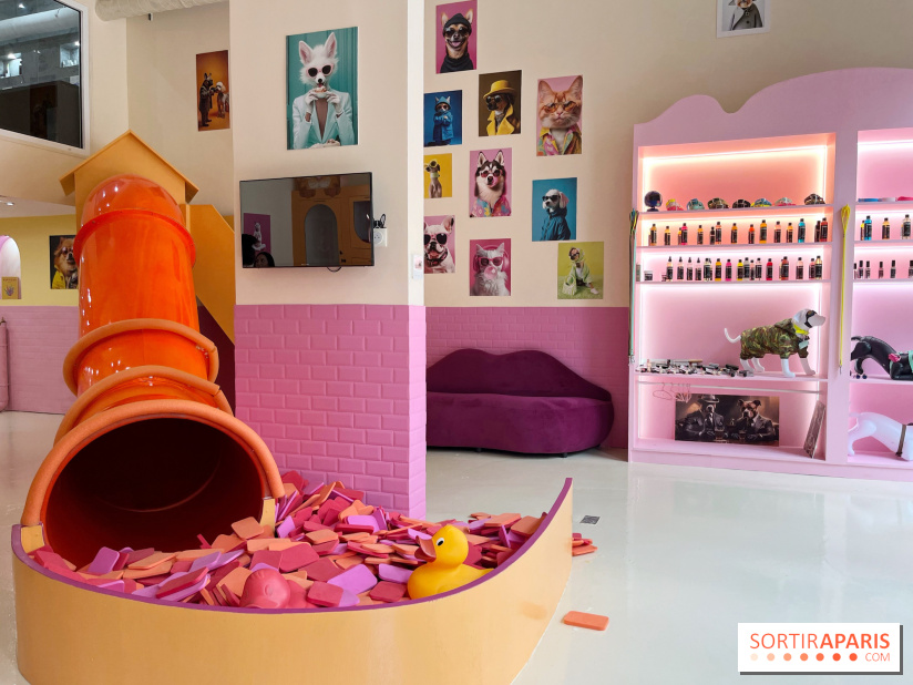 Patapwouf, le spot cani-friendly de Saint-Ouen - nos photos - A20E0070 2D50 49D7 8DC4 7B247EC53339