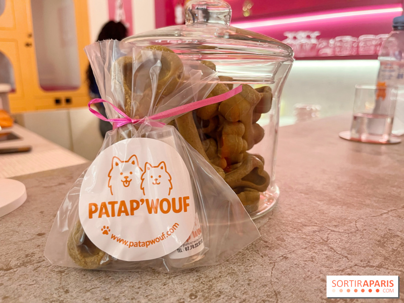 Patapwouf, le spot cani-friendly de Saint-Ouen - nos photos - CBA74623 0EBE 44FA 9FFF 1E1D19587CD5