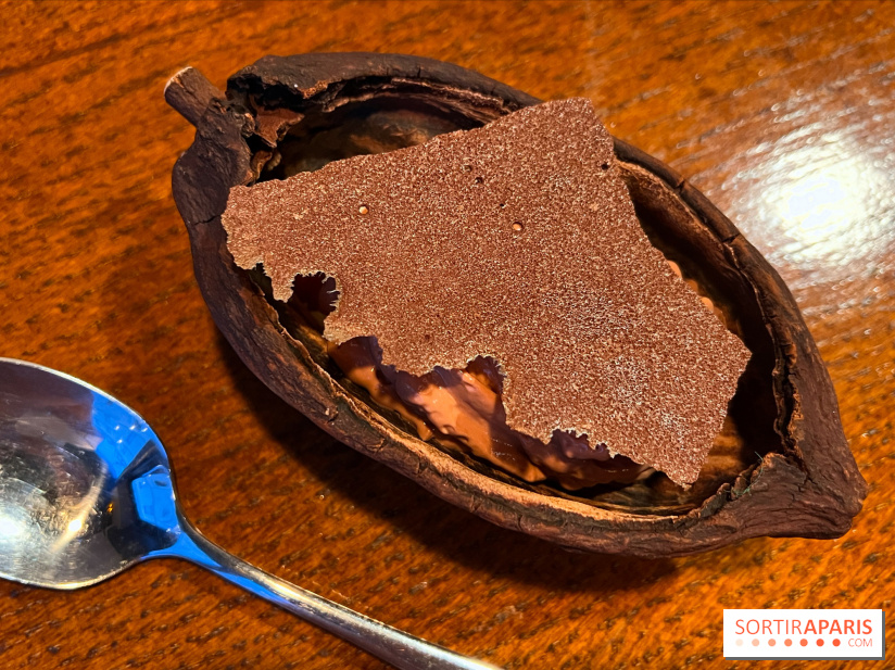 Machizo - Mousse chocolat, glace estragon