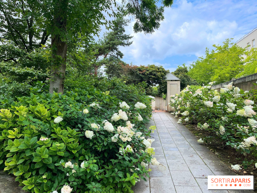 Square Eugénie Djendi - nos photos - 27729B0F A44E 4F1C B37B 417BAD0CEA02