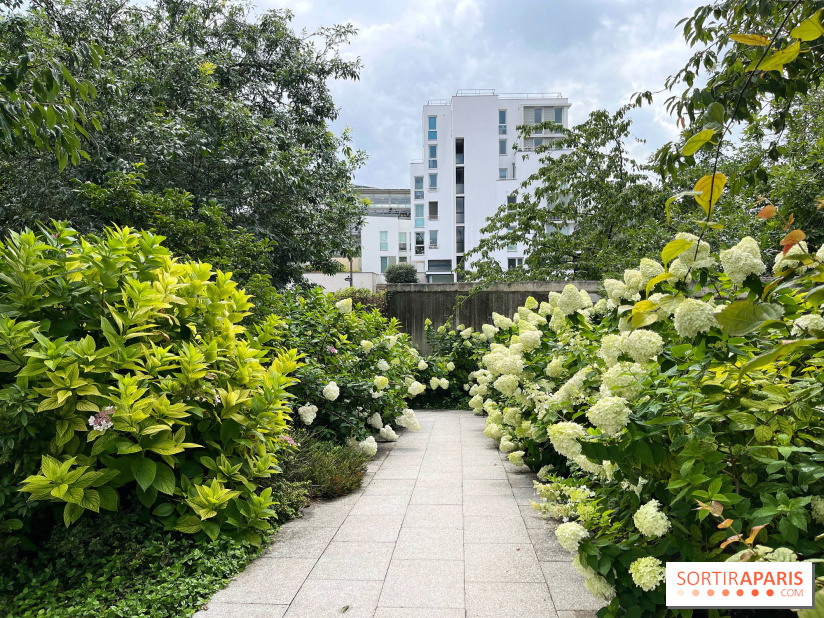 Square Eugénie Djendi - nos photos - 4730EF26 B235 4FFF 8071 C37EB3899BA6