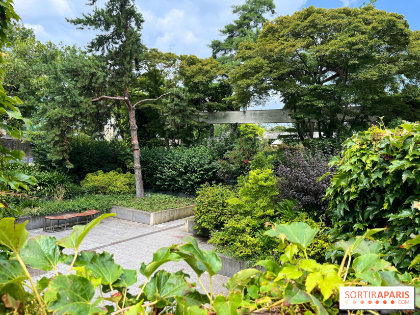 Square Eugénie Djendi - nos photos - 5557E705 C5CA 43C0 89A5 81FB24335E1E