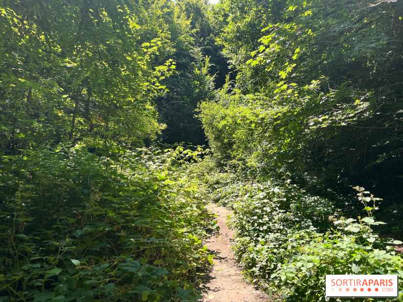 Paris-Rambouillet à pied - nos photos - 93669666 586D 4C43 B749 B8A3DD96A086