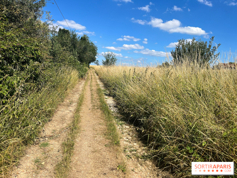 Paris-Rambouillet à pied - nos photos - DF4FD716 169E 424A 938E 9B3E81624D76