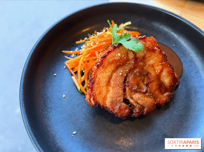 Shuzo - Chashu-Chicharron