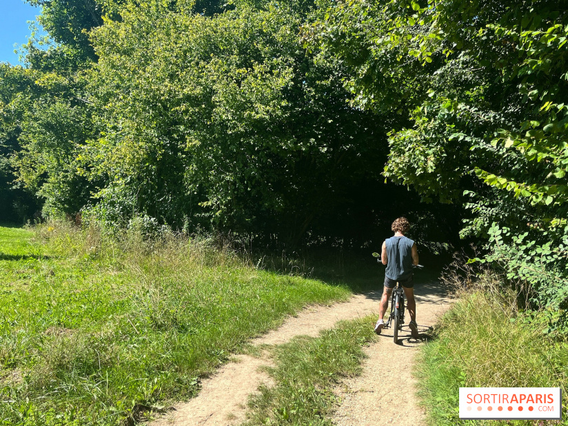 Vélo en bords de Marne - nos photos - 08AD9137 E902 47D9 921D 700C55B8FEB8