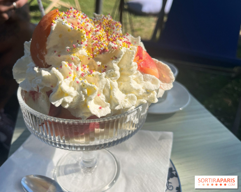 La guinguette des Bords de Marne - nos photos - 332B7959 DA91 4BF4 AF31 3234D94F8CBF