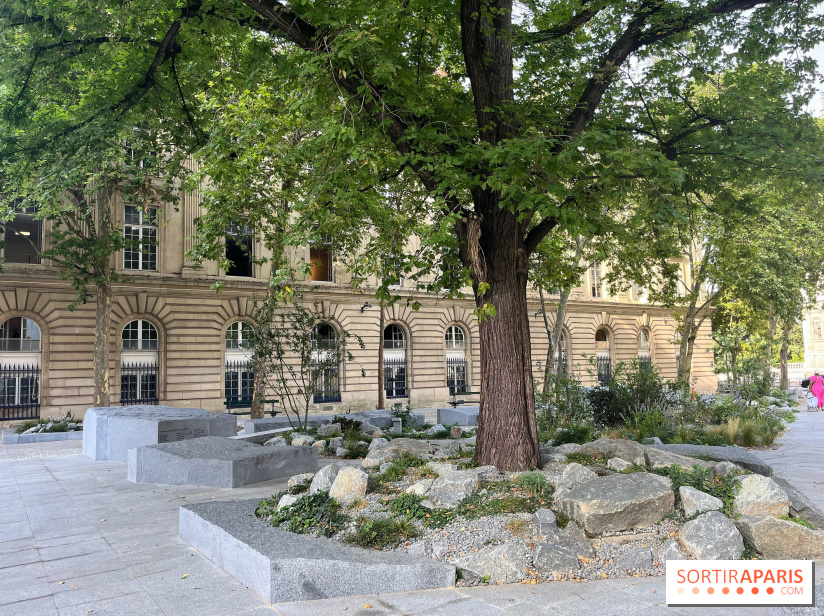 Jardin mémoriel du 13 novembre 2015 - nos photos - 1413BAA0 564C 47E1 BC7C 8458F39A1973