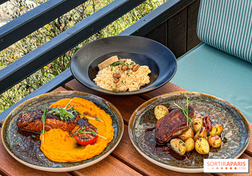 La Casa, Médan (78) - IMG 3138 jpg