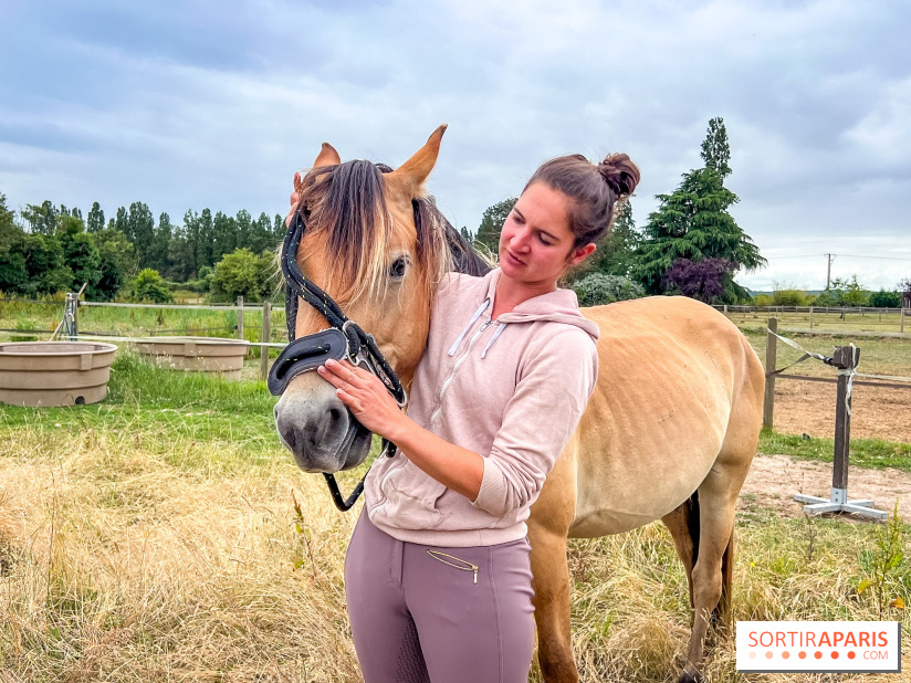 Balade en chevaux Henson en forêt de Fontainebleau