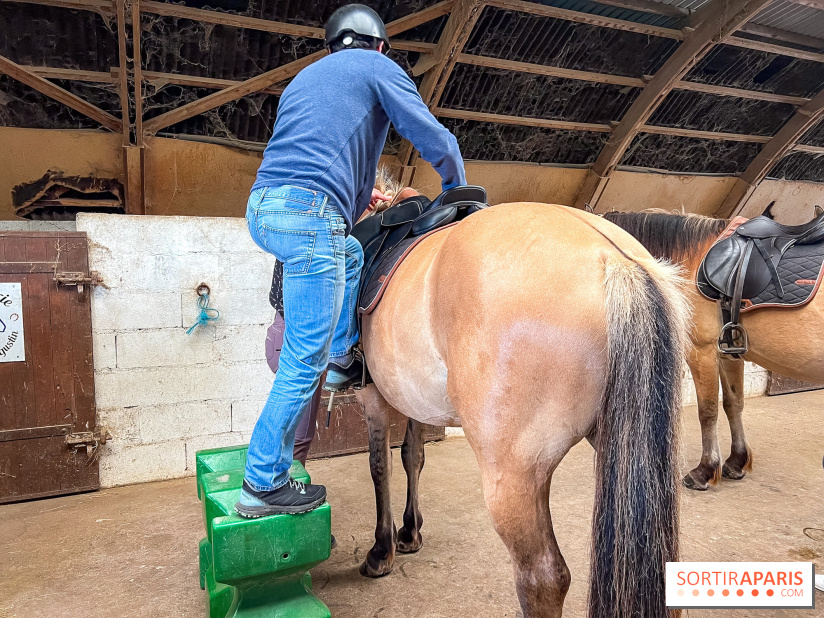 Balade en chevaux Henson en forêt de Fontainebleau  - IMG 2025