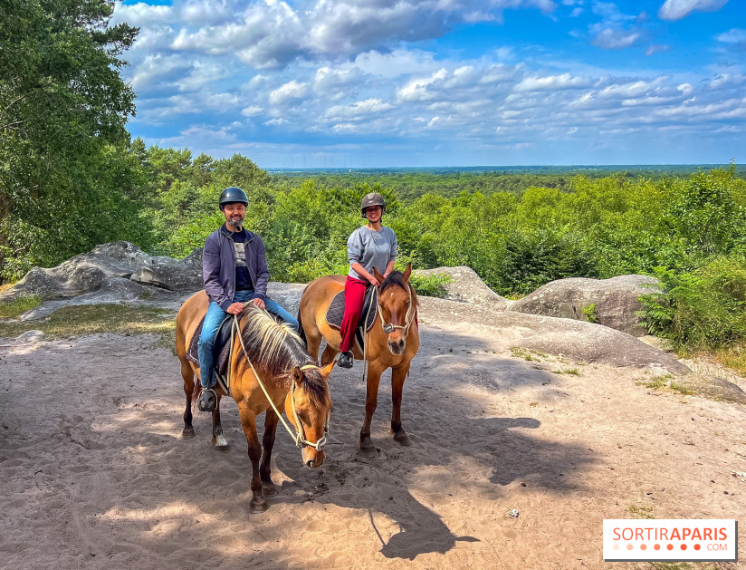 Balade en chevaux Henson en forêt de Fontainebleau
