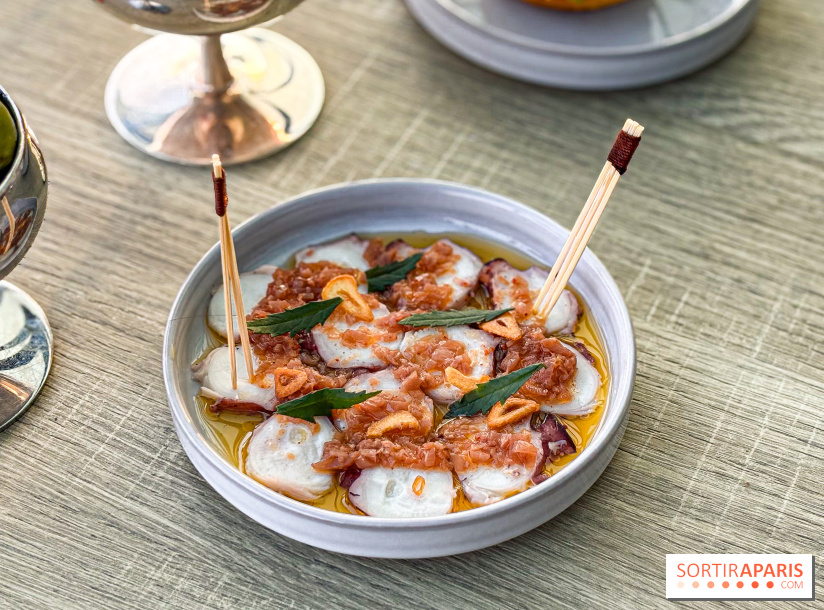 Bar Les Ombres : cocktails & tapas sur le rooftop du Musée du Quai Branly avec vue sur la tour Eiffel - IMG 8117