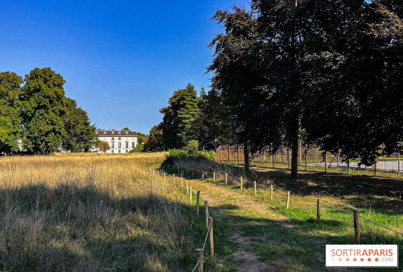 Parc de la Roseraie Châtenay - 2