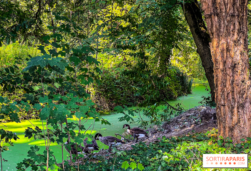 Parc de la Roseraie à Chatenay Malabry (92) : 8 hectares de verdure classés Monument Historique