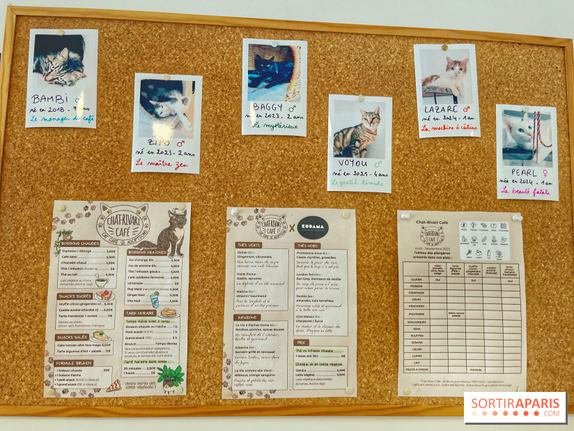 Chat-Rivari Café