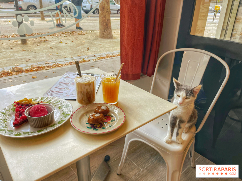 Chat-Rivari Café