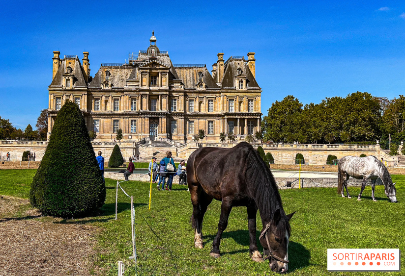 Tous en piste ! à Maisons-Laffitte (78): poneys, calèche et spectacles équestres gratuits au château - IMG 8275 jpg