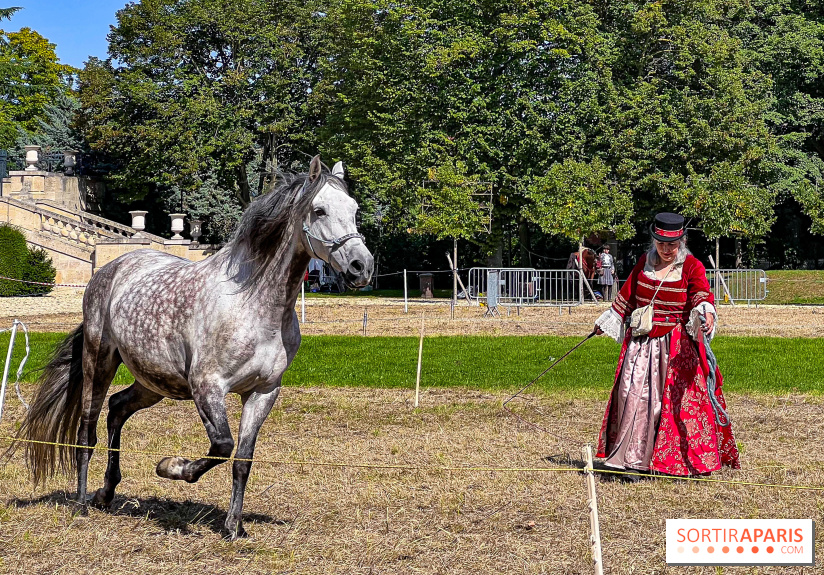 Tous en piste ! à Maisons-Laffitte (78): poneys, calèche et spectacles équestres gratuits au château
