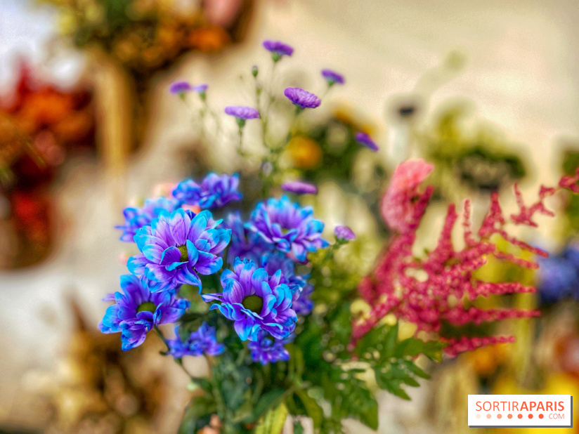 Les filles d'à côté - IMG 5229