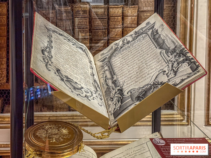 Exposition “Excellences !” à la Bibliothèque Choiseul de Versailles - IMG 7624