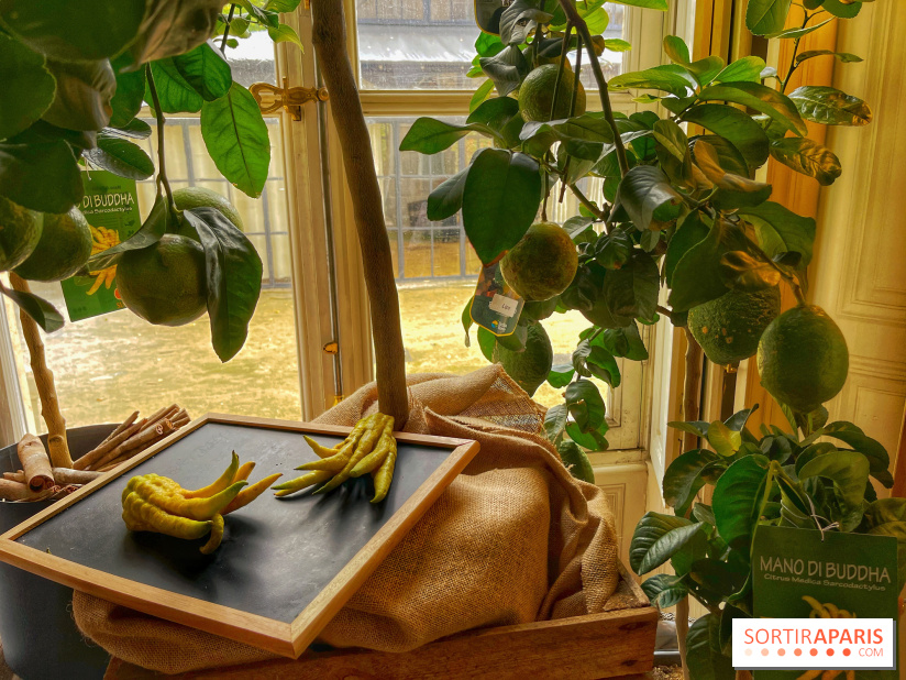 L'art des parfumeurs - IMG 5548