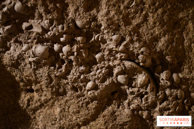Les caves de Pontoise, visite des souterrains