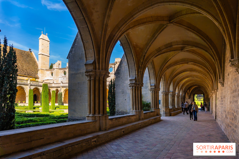 Les spectacles du dimanche de l'Abbaye de Royaumont dans le Val-d'Oise - A7C08374