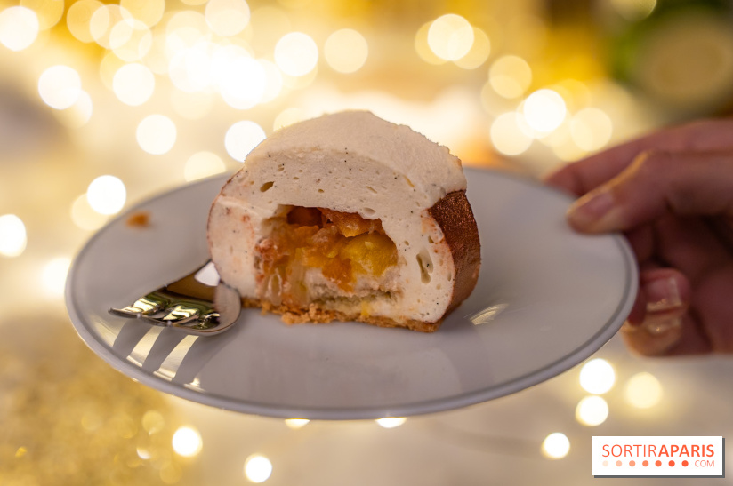 la Bûche de Noêl du Mandarin Oriental Lutetia aux Lumières de Paris - A7C08076