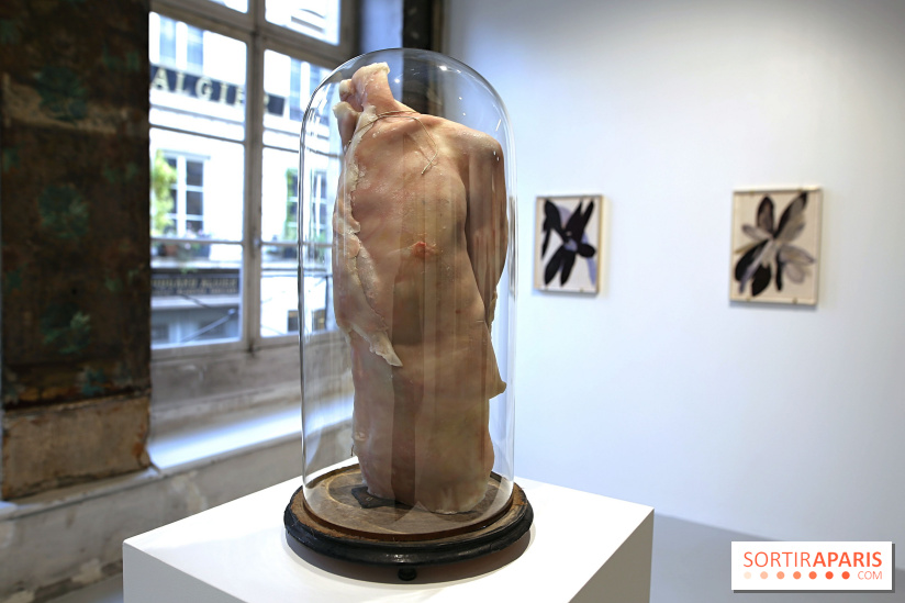 Berlinde De Bruyckere : nos photos de son exposition 'Need' à la Galleria Continua