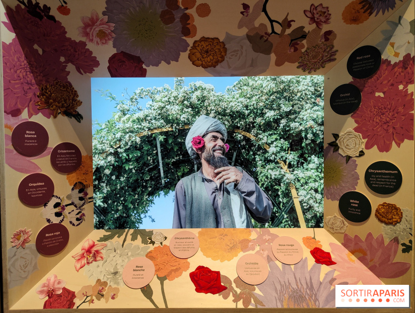 Jardiner : une exposition au cœur de la nature à vivre à la Cité des Sciences et de l'Industrie - fotor 1760436712730